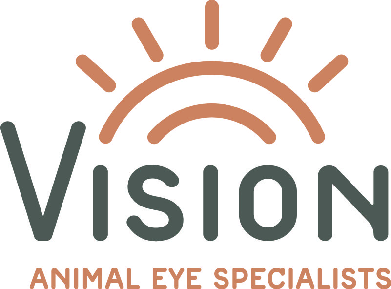 Vision Animal Eye LOGO.jpg